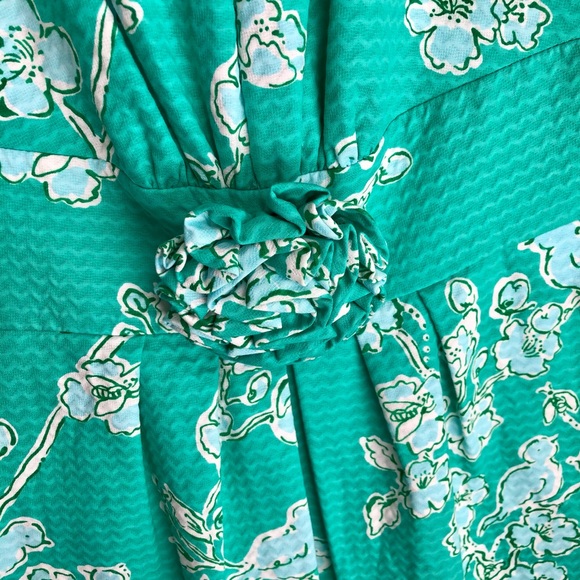 Lilly Pulitzer size 4 Parker dress Lagoon Birds and the Bees print - Picture 5 of 12